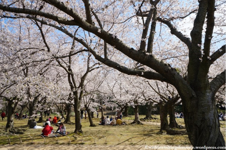 03Apr13 Okayama 006