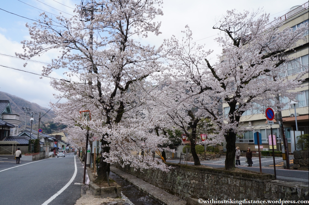 03Apr13 Takahashi 035