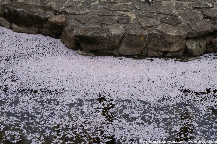 03Apr13 Takahashi 037