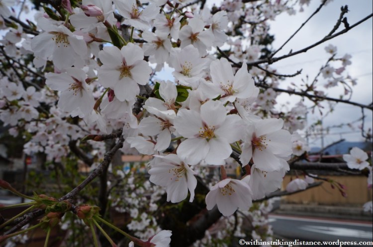 03Apr13 Takahashi 038