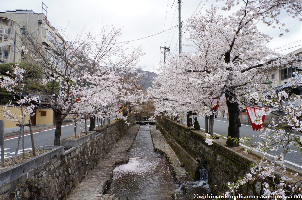 03Apr13 Takahashi 039