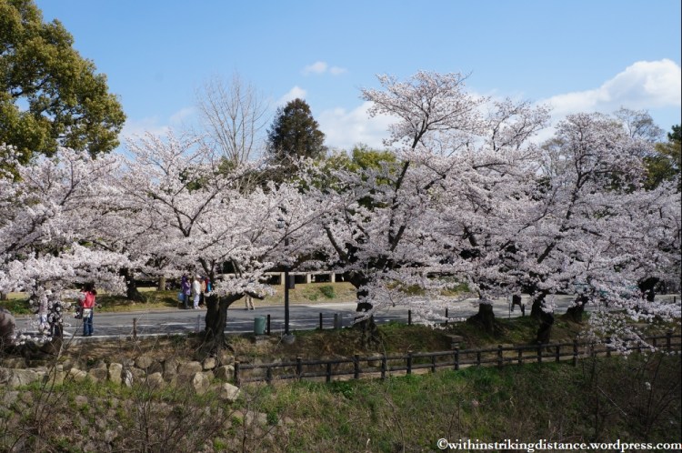 03Apr13 Takahashi 040