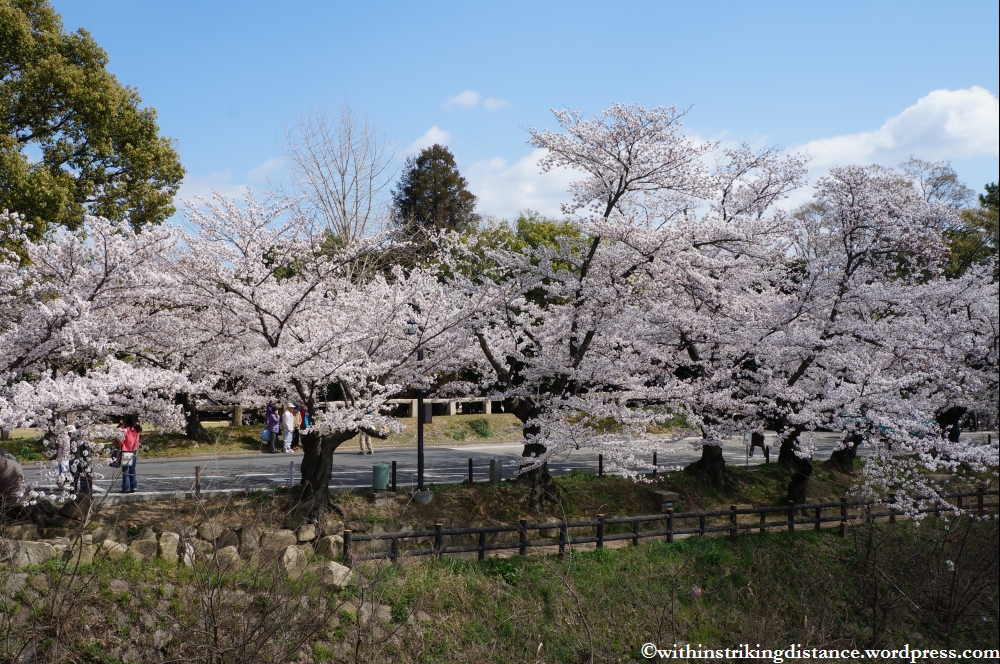 03Apr13 Takahashi 040