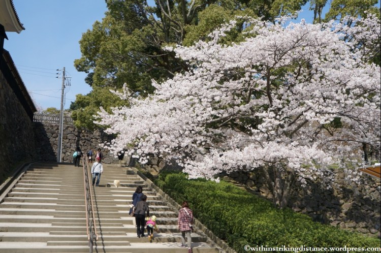 04Apr13 Matsue 003