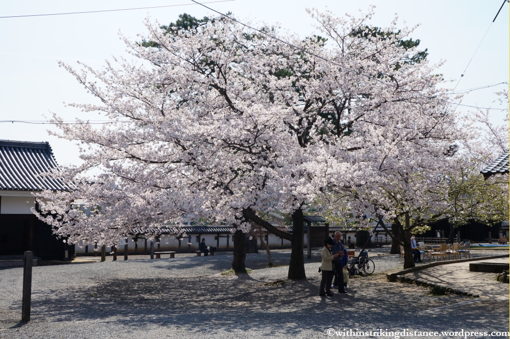 04Apr13 Matsue 006