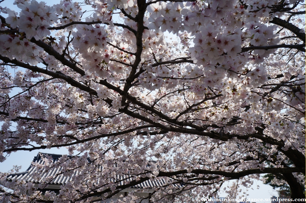 04Apr13 Matsue 008