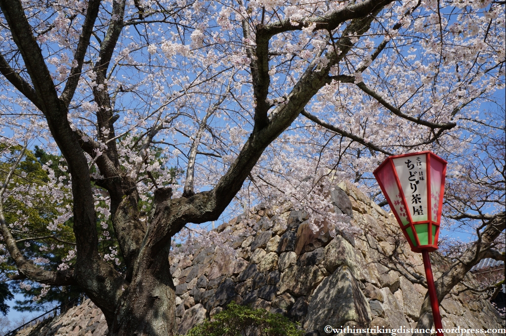 04Apr13 Matsue 009