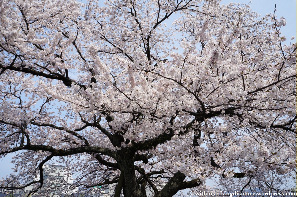 04Apr13 Matsue 035