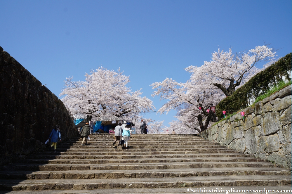 05Apr13 Tsuyama 006