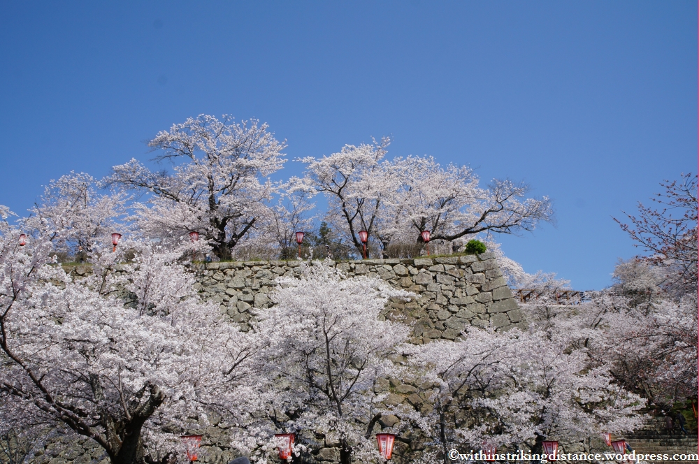 05Apr13 Tsuyama 007