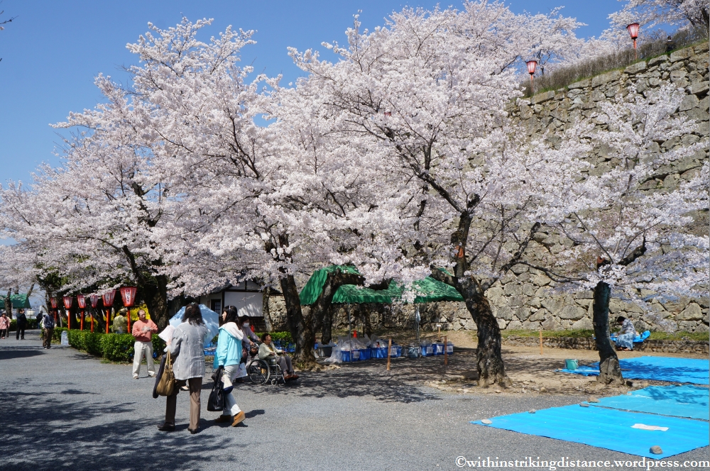 05Apr13 Tsuyama 008
