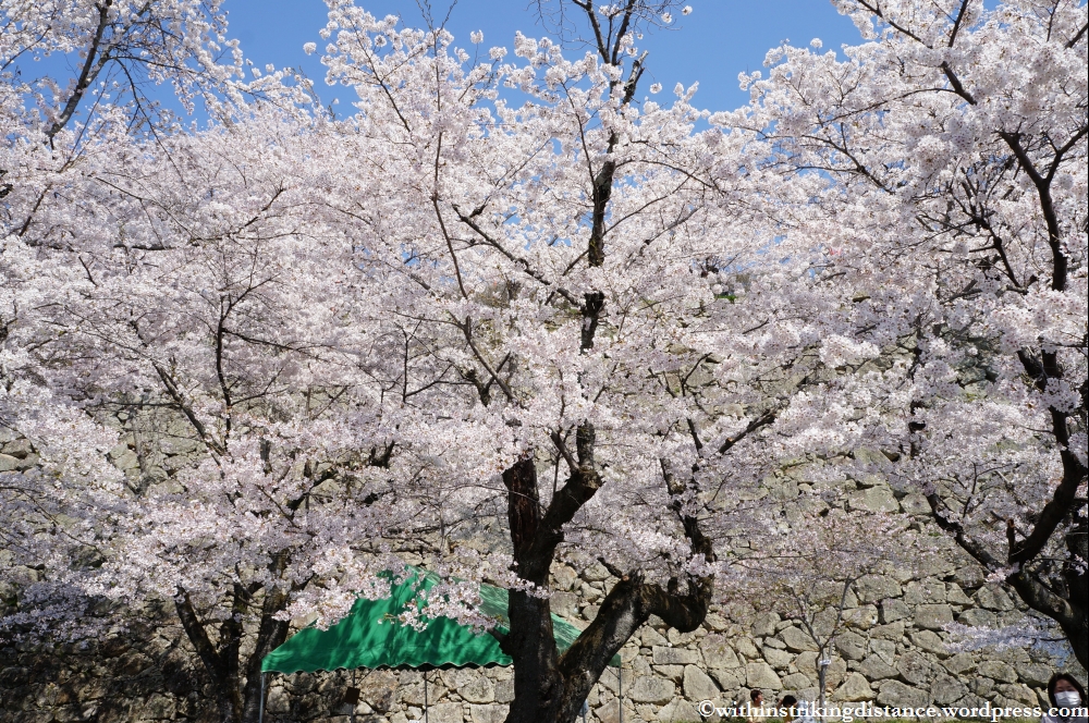 05Apr13 Tsuyama 009