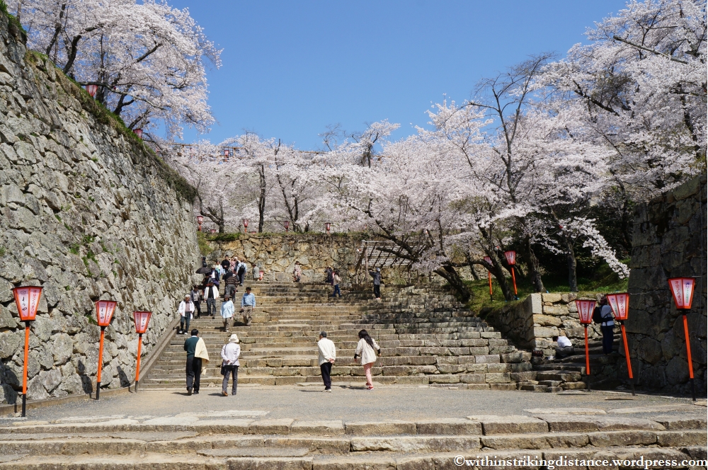 05Apr13 Tsuyama 010