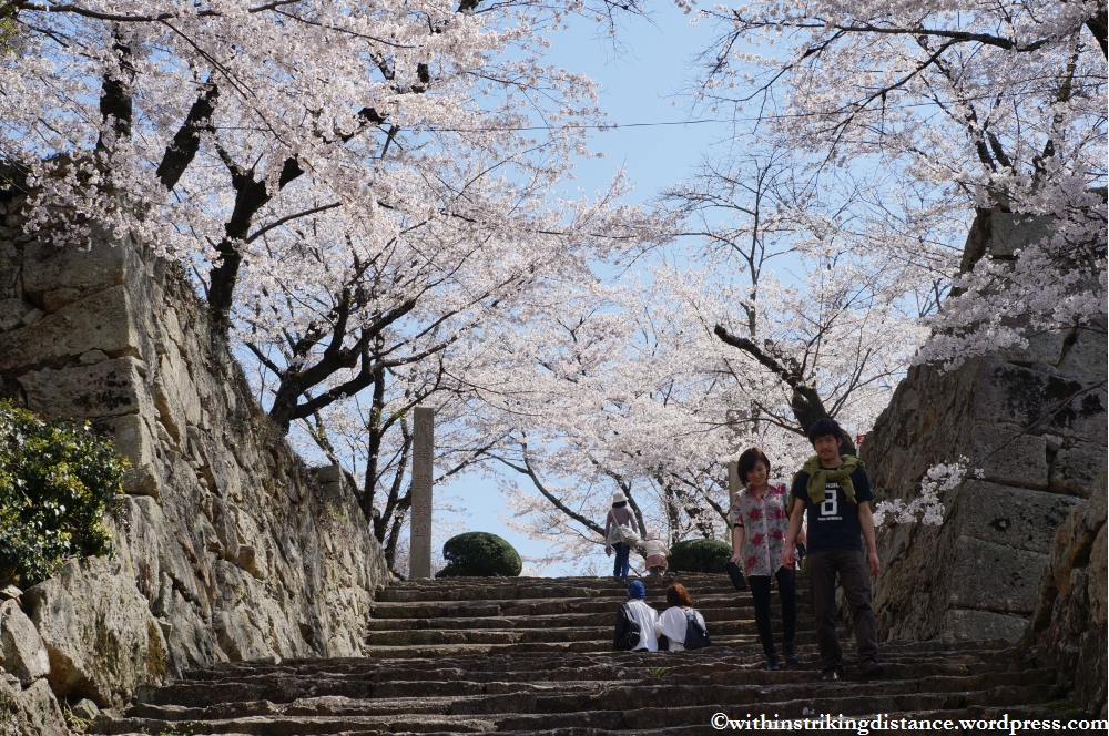 05Apr13 Tsuyama 011