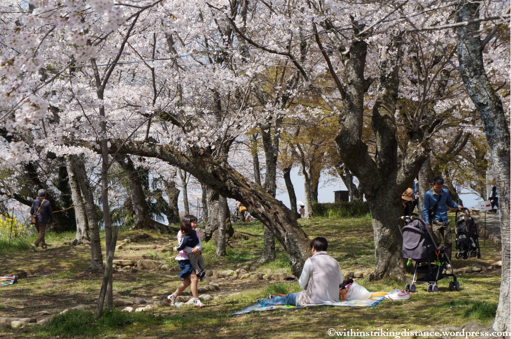 05Apr13 Tsuyama 013