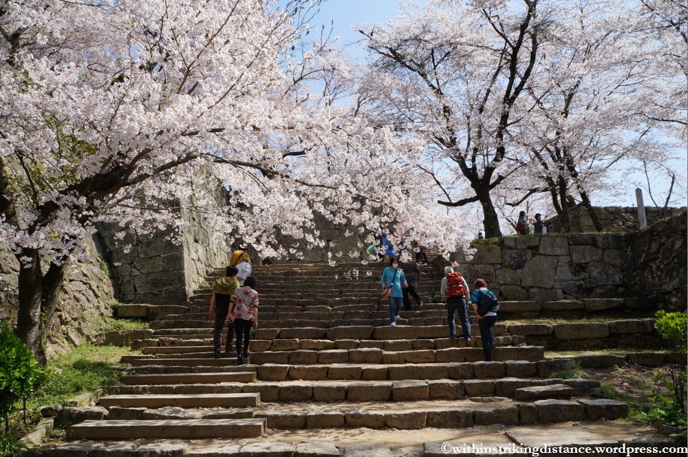 05Apr13 Tsuyama 014