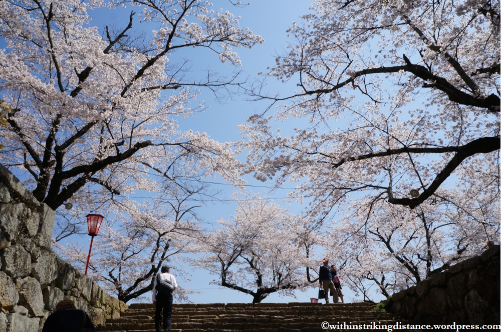 05Apr13 Tsuyama 015
