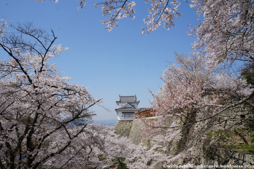 05Apr13 Tsuyama 017