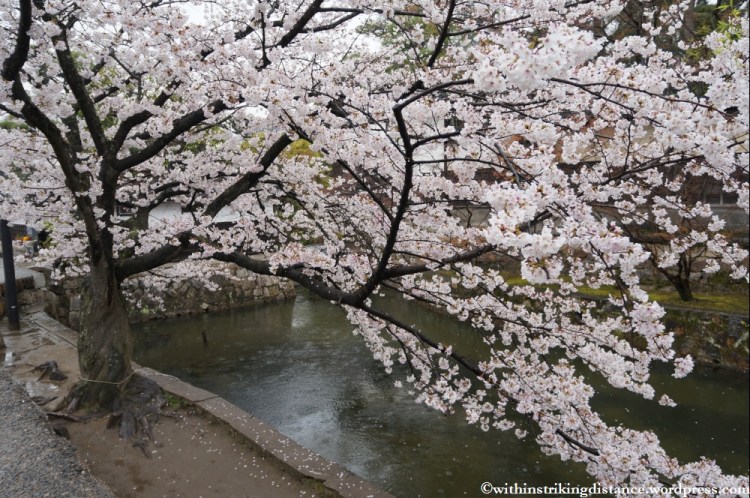 Trip Report 02Apr13 Kurashiki Himeji 005