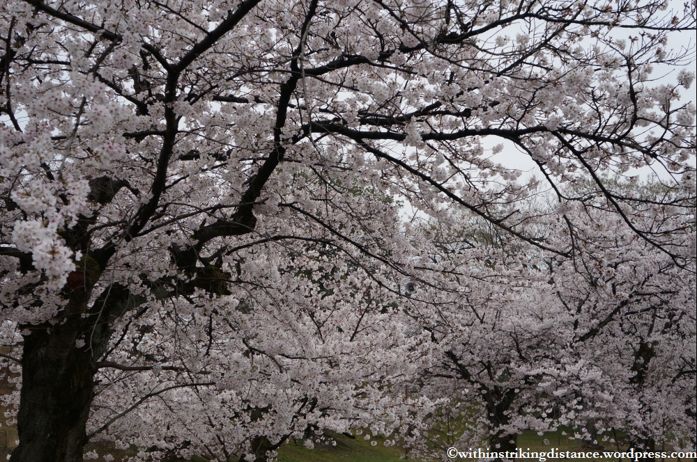 Trip Report 02Apr13 Kurashiki Himeji 012