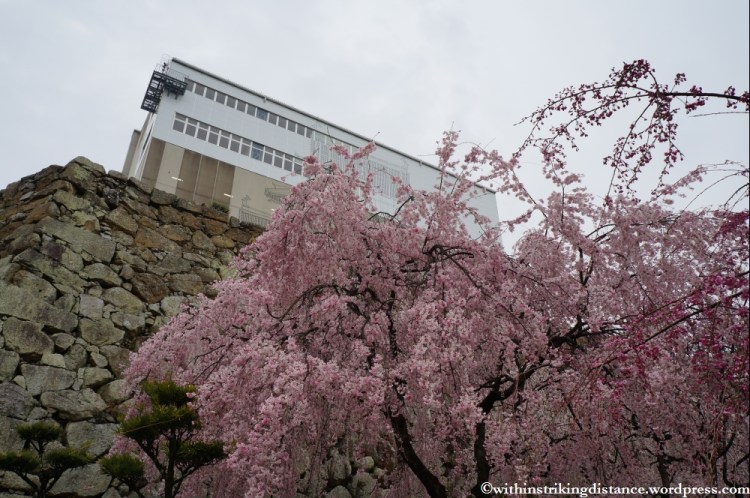 Trip Report 02Apr13 Kurashiki Himeji 014