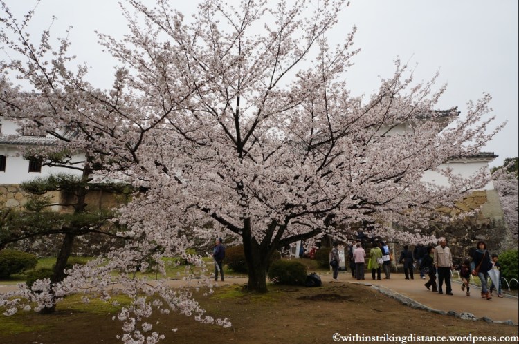 Trip Report 02Apr13 Kurashiki Himeji 021