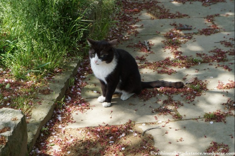 08Apr13 Nagasaki 011