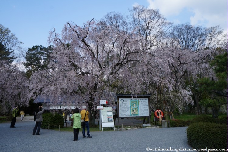 11Apr13 Kyoto Part 1 038