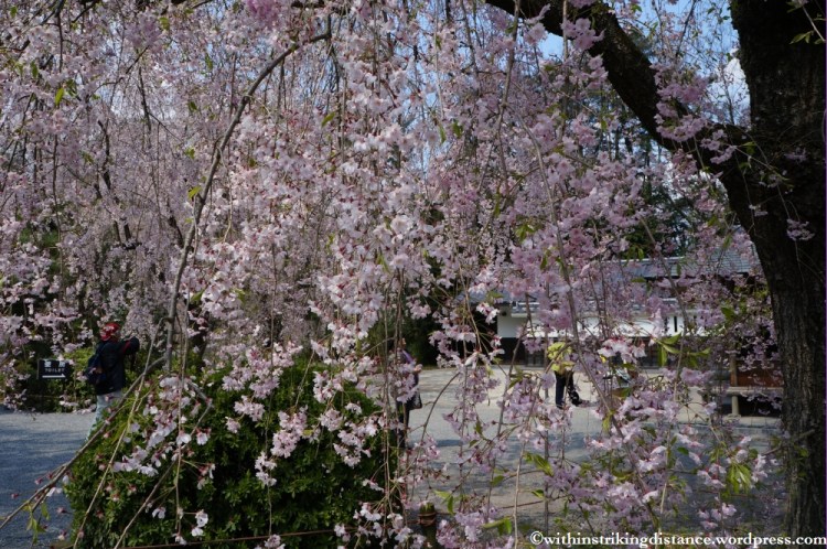 11Apr13 Kyoto Part 1 039