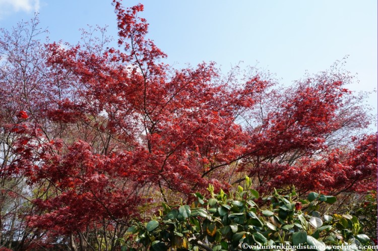 11Apr13 Kyoto Part 1 043