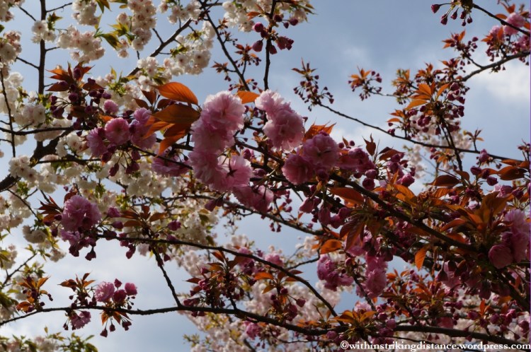 11Apr13 Kyoto Part 1 058