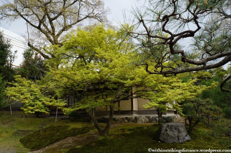 11Apr13 Kyoto Part 3 017