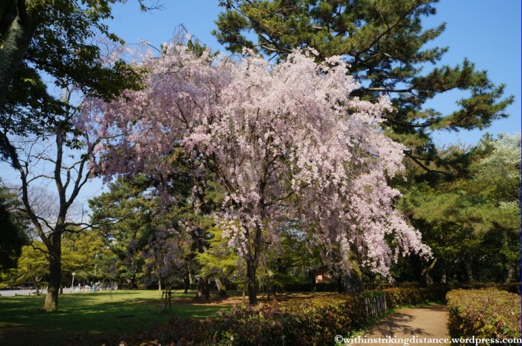 12Apr13 Kyoto Part 1 005