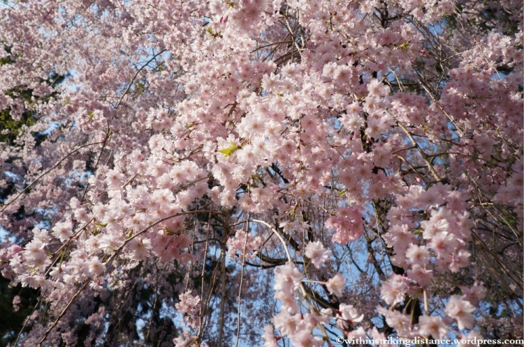 12Apr13 Kyoto Part 1 006