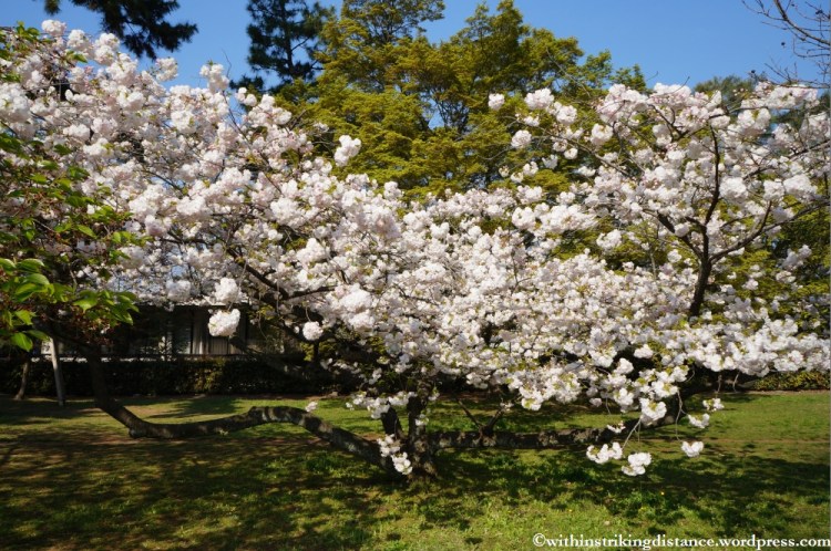 12Apr13 Kyoto Part 1 008