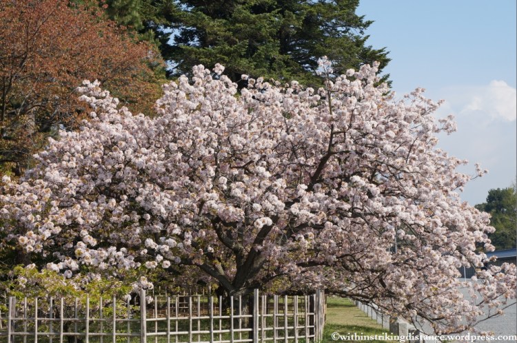 12Apr13 Kyoto Part 1 011
