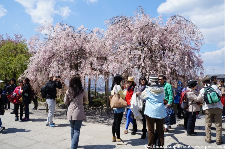 12Apr13 Kyoto Part 1 014