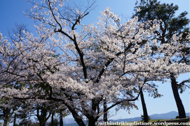 13Apr13 Matsumoto 034