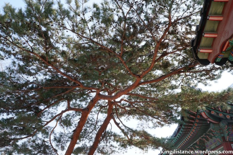 10Feb13 Seoul Gyeongbokgung 041