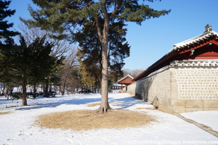 11Feb13 Seoul Jongmyo 016