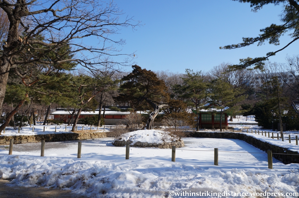 11Feb13 Seoul Jongmyo 043