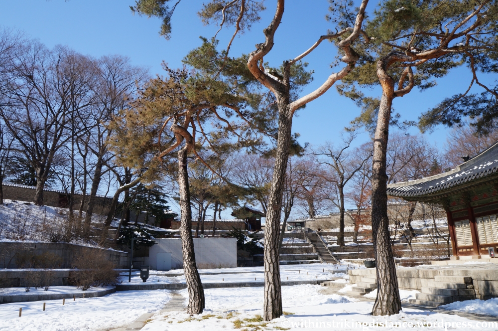 11Feb13 Seoul Changgyeonggung 039