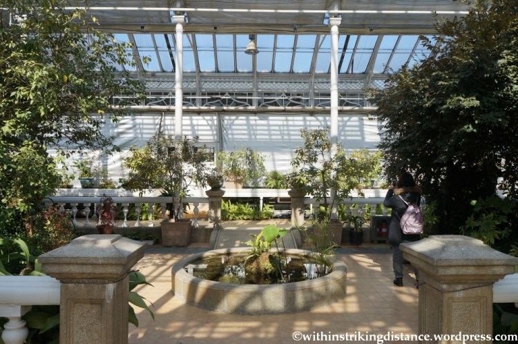 11Feb13 Seoul Changgyeonggung 052