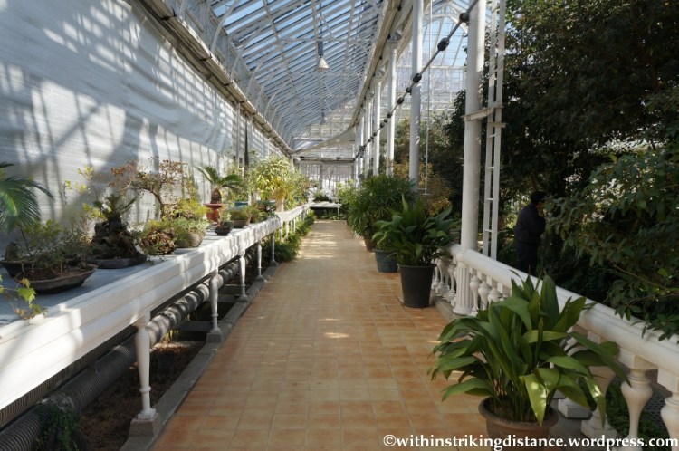 11Feb13 Seoul Changgyeonggung 053