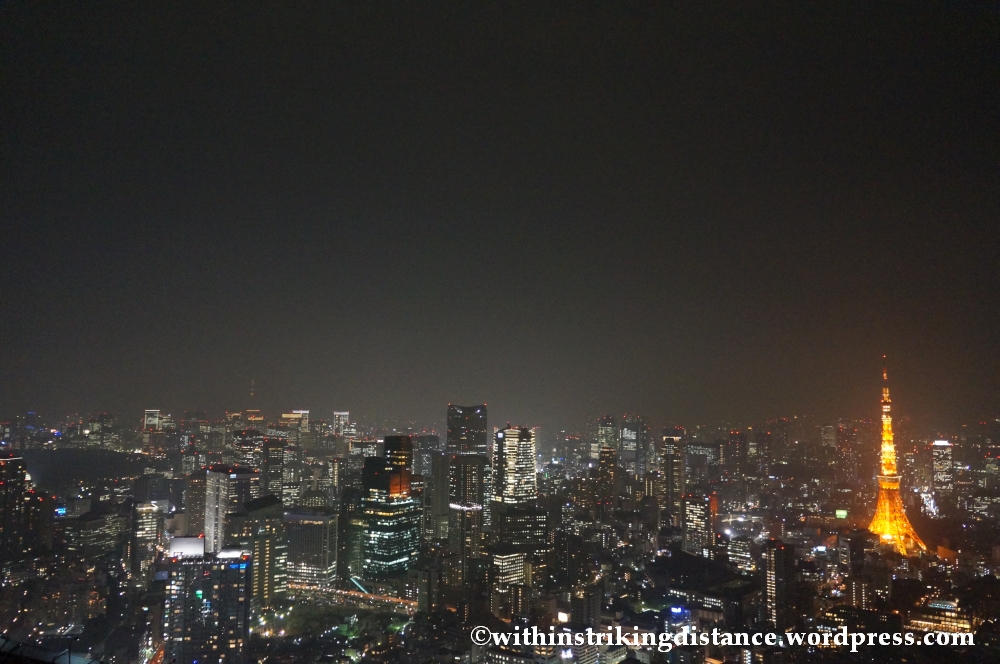 03Feb14 Tokyo 015