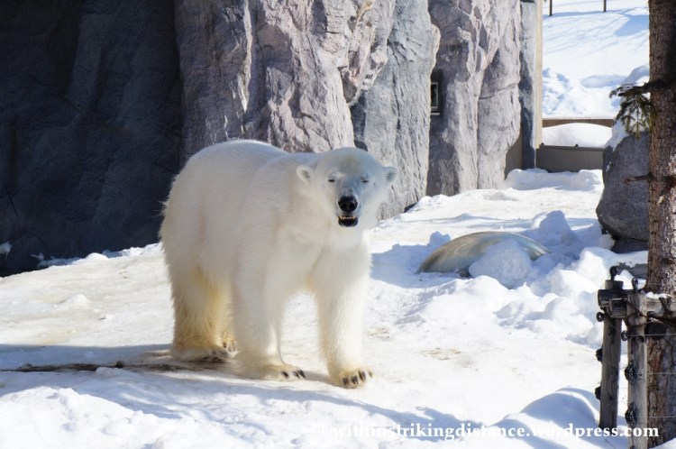 07Feb14 Asahikawa Asahiyama Zoo 045