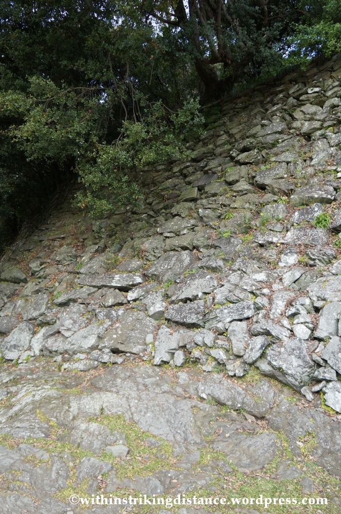 11Feb14 Wakayama 006