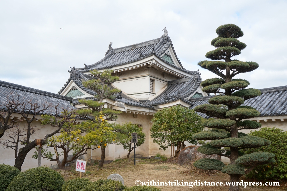 11Feb14 Wakayama 011