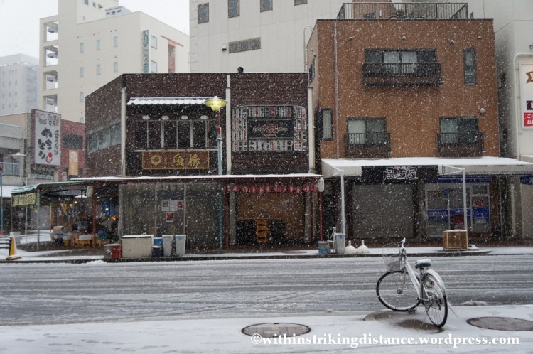 14Feb14 Snow Nagoya Japan 001
