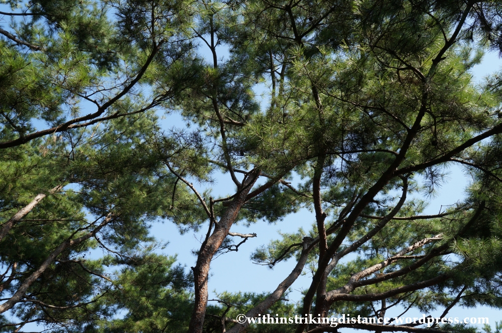 14Oct13 Paldalsan Wall Hwaseong Fortress Suwon South Korea 007
